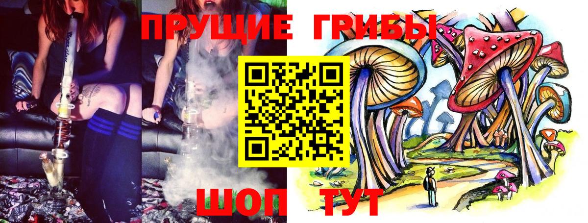 Псилоцибиновые грибы MAGIC MUSHROOMS Ртищево