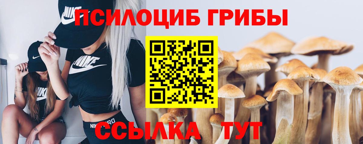 сколько стоит  Вход с VPN  Ртищево  Псилоцибиновые грибы Magic Shrooms  Псилоцибиновые грибы мухоморы 